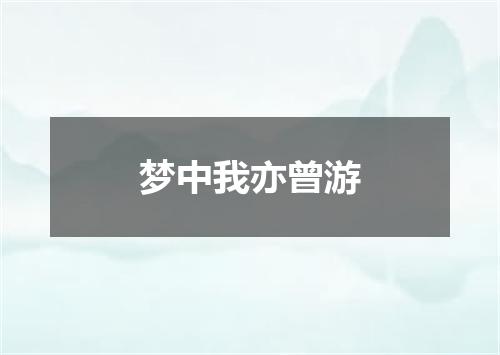 梦中我亦曾游