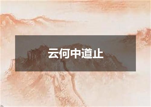 云何中道止