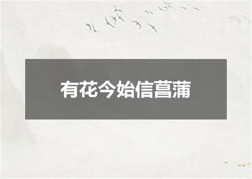 有花今始信菖蒲