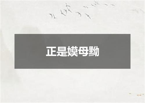 正是嫫母黝
