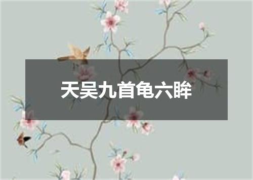 天吴九首龟六眸