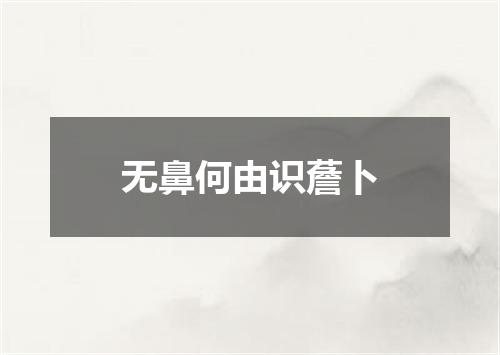 无鼻何由识薝卜