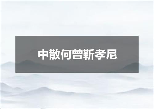 中散何曾靳孝尼