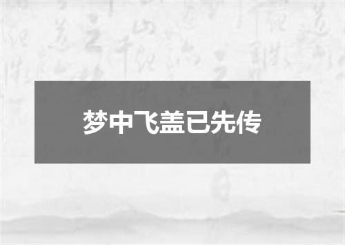 梦中飞盖已先传