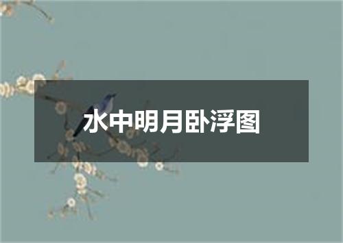 水中明月卧浮图