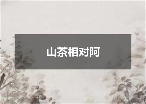山茶相对阿