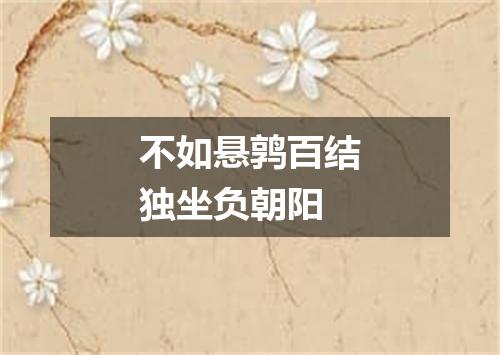 不如悬鹑百结独坐负朝阳