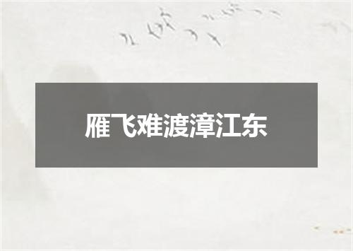 雁飞难渡漳江东