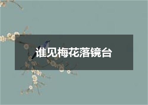 谁见梅花落镜台