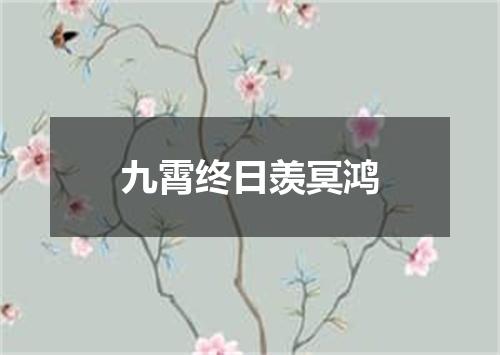 九霄终日羡冥鸿