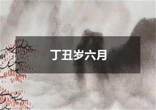 丁丑岁六月