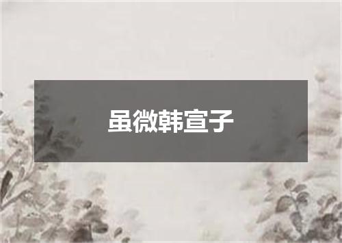 虽微韩宣子