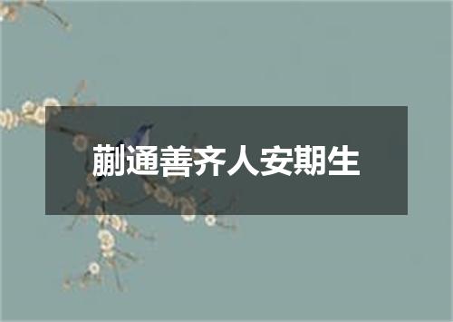 蒯通善齐人安期生