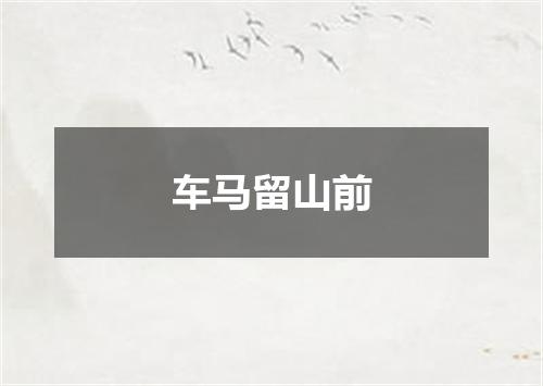 车马留山前
