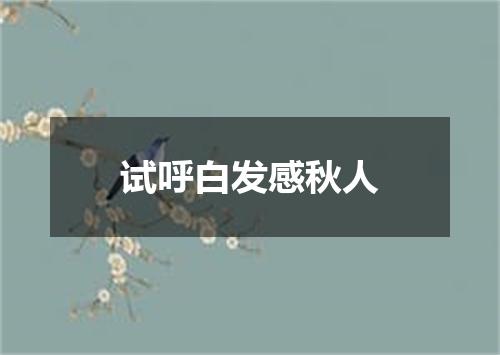 试呼白发感秋人