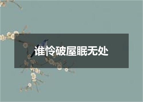 谁怜破屋眠无处