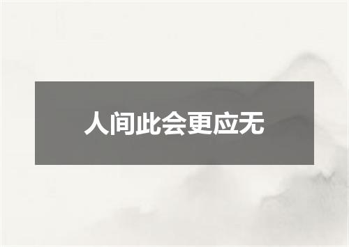 人间此会更应无