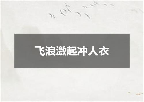 飞浪激起冲人衣