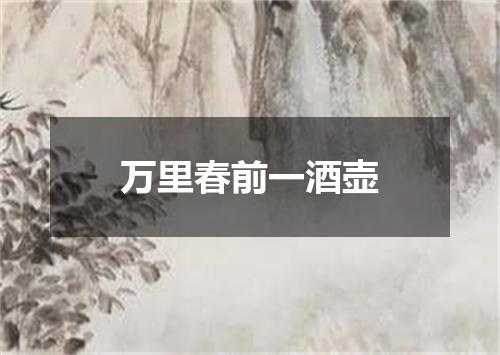 万里春前一酒壶