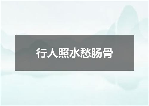 行人照水愁肠骨