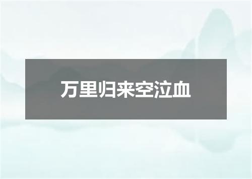 万里归来空泣血