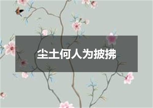 尘土何人为披拂