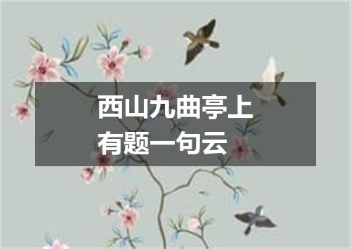 西山九曲亭上有题一句云