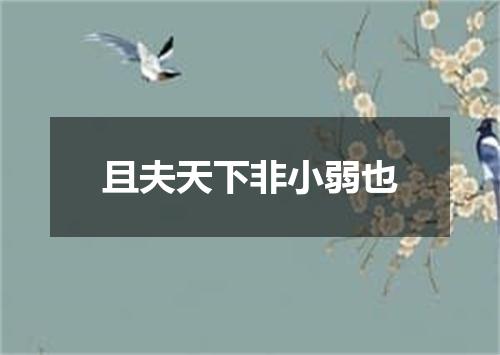 且夫天下非小弱也