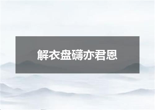 解衣盘礴亦君恩