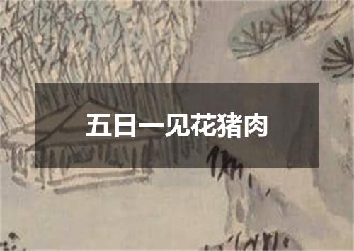 五日一见花猪肉