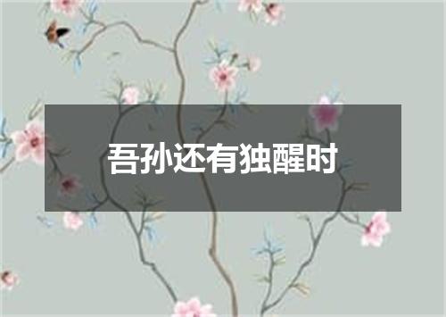 吾孙还有独醒时