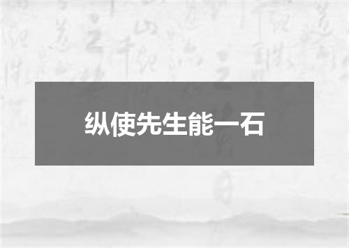 纵使先生能一石