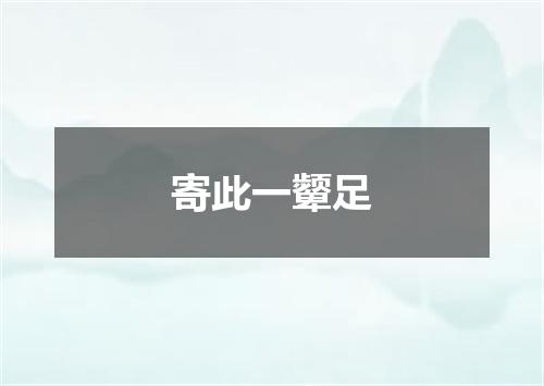 寄此一颦足