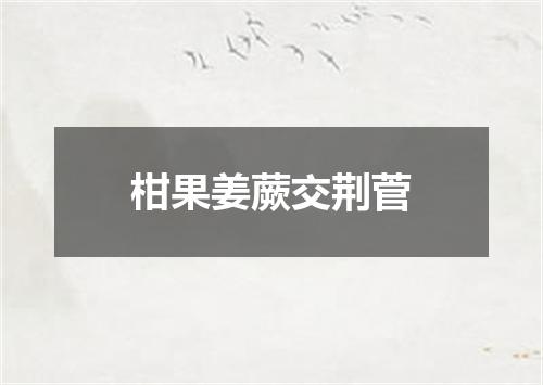 柑果姜蕨交荆菅