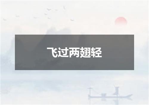 飞过两翅轻