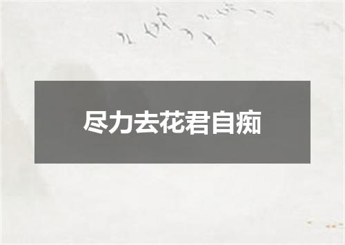 尽力去花君自痴