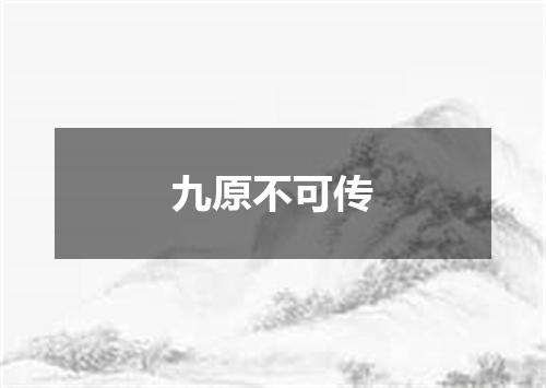 九原不可传