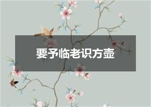 要予临老识方壶