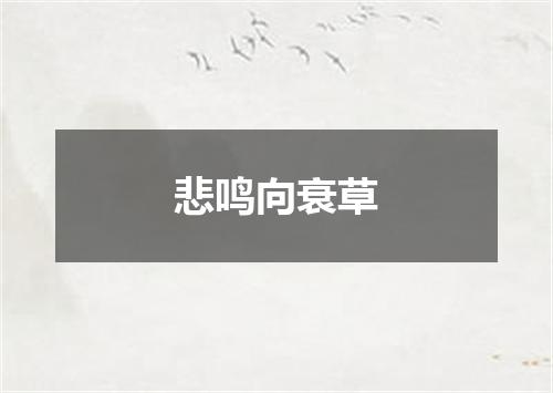 悲鸣向衰草
