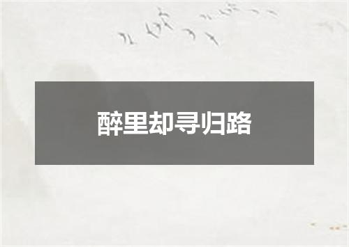 醉里却寻归路