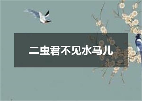 二虫君不见水马儿
