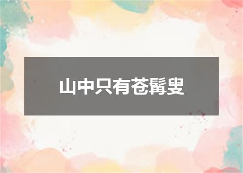 山中只有苍髯叟