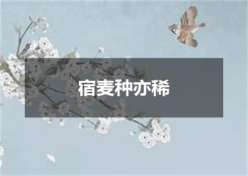 宿麦种亦稀