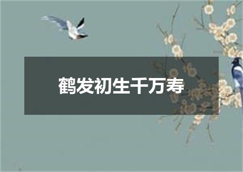 鹤发初生千万寿