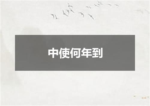 中使何年到