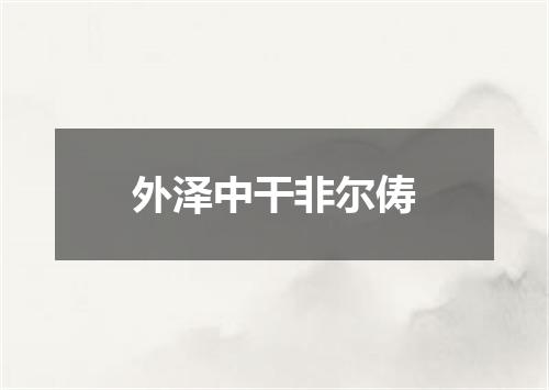 外泽中干非尔俦