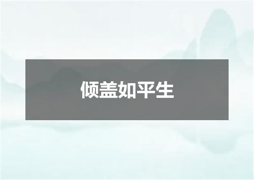 倾盖如平生