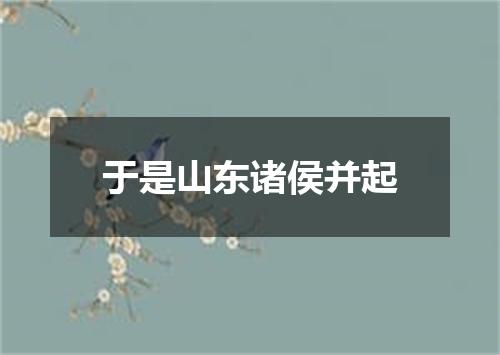 于是山东诸侯并起