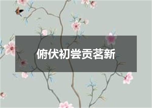 俯伏初尝贡茗新