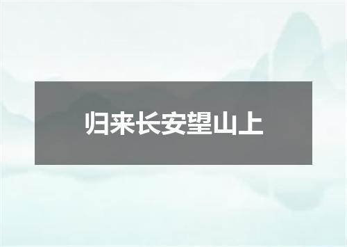 归来长安望山上